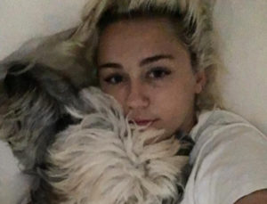 Miley Cyrus cani