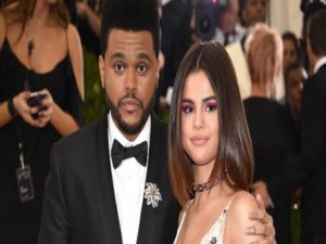 selena e the weeknd adottano un cane