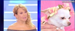 barbara d'urso e il cane di francesca cipriani a domenica live 2018