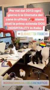 cani in ufficio elisabetta franchi