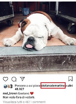 stefano de martino cane di emma