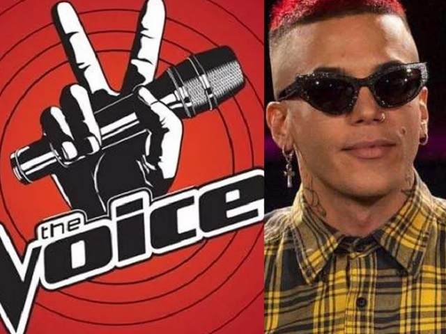 the voice microfono