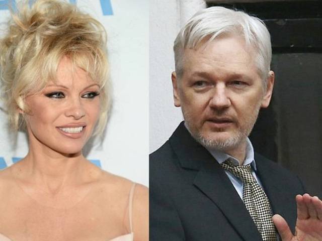 pamela carcere assange