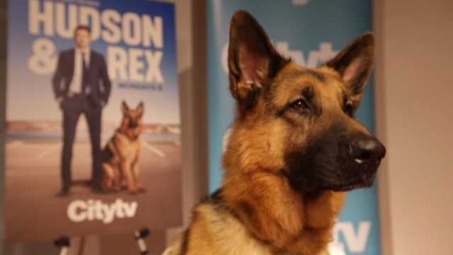 serie tv hudson e rex