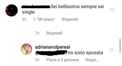 volpe non è sigle