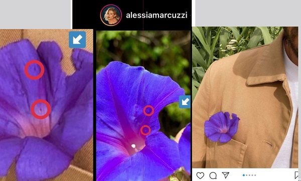 Alessia Macruzzi stefano fiori 