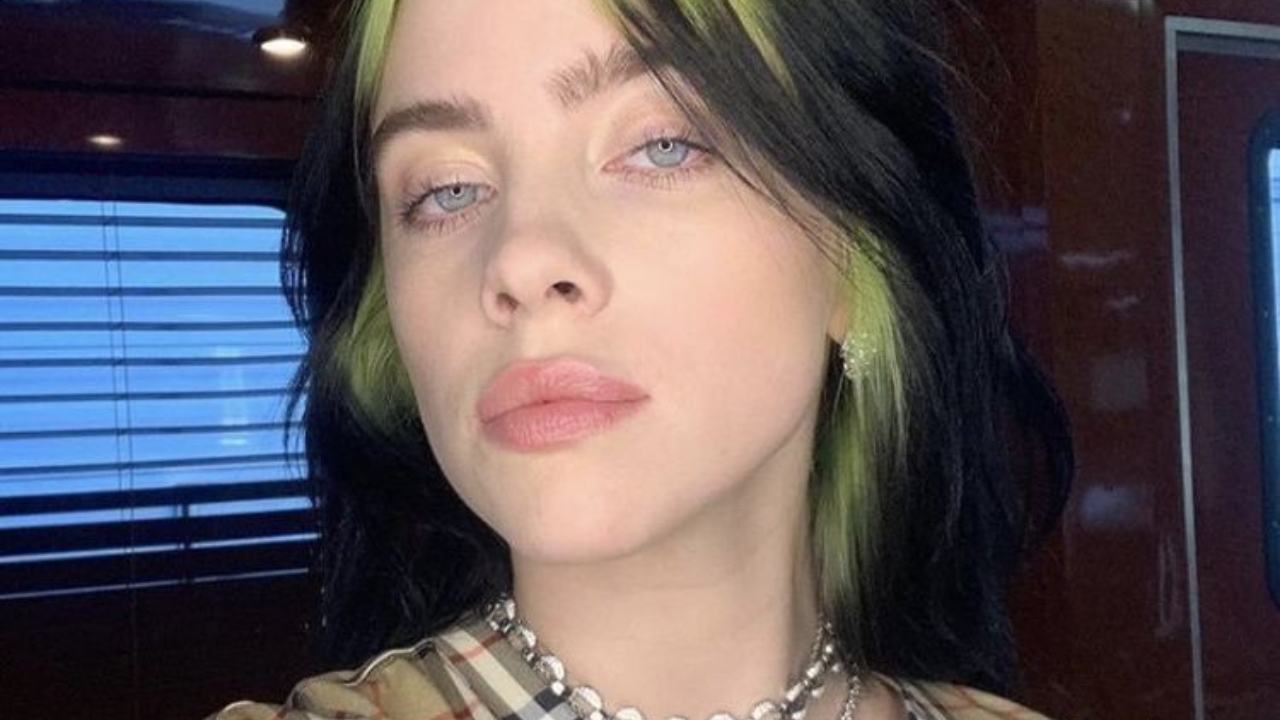 billie eilish selfie