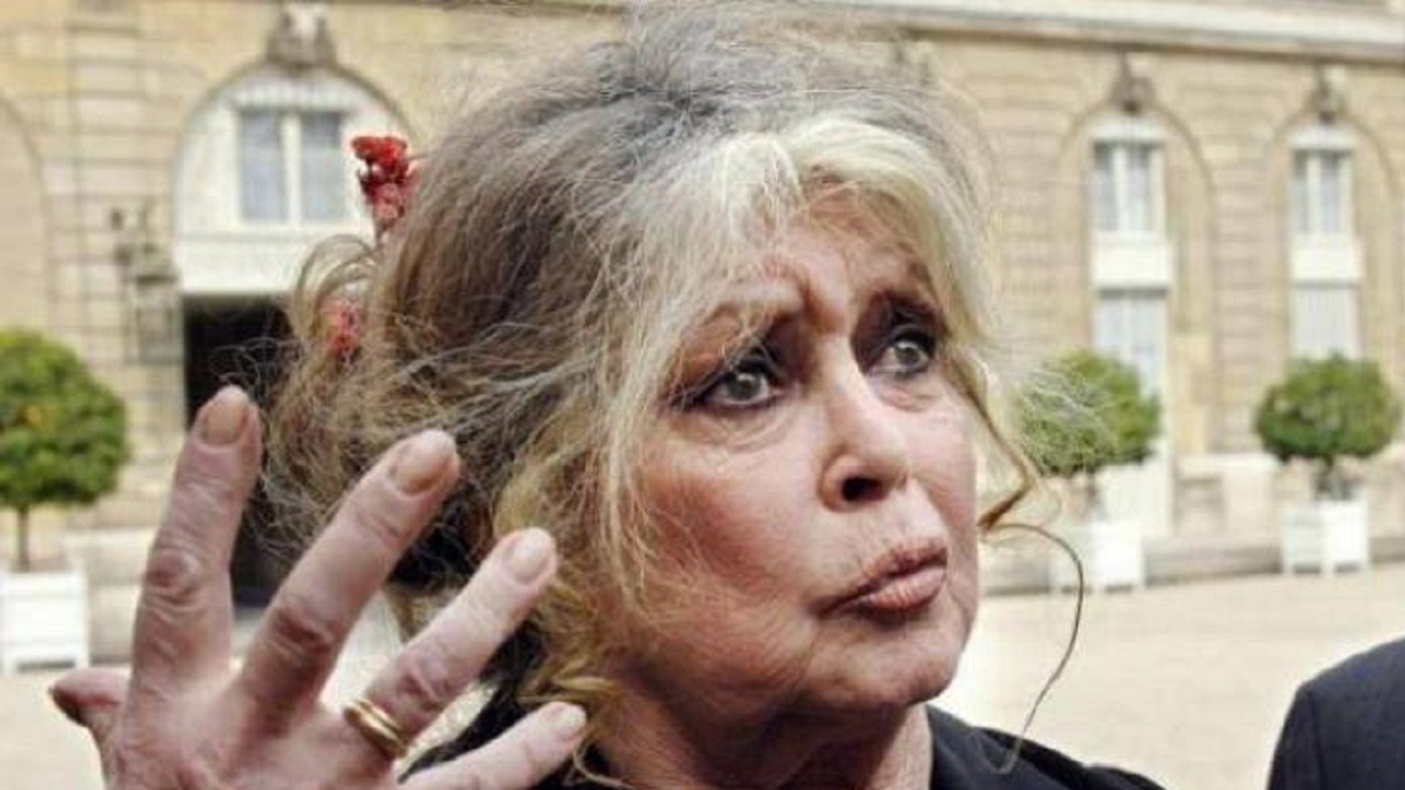 Brigitte Bardot Covid