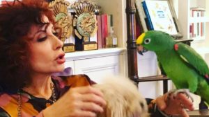 Grande Fratello Vip: Alda D’Eusanio nuova concorrente (con pappagallo) Grande Fratello Vip: Alda D’Eusanio nuova concorrente (con pappagallo)