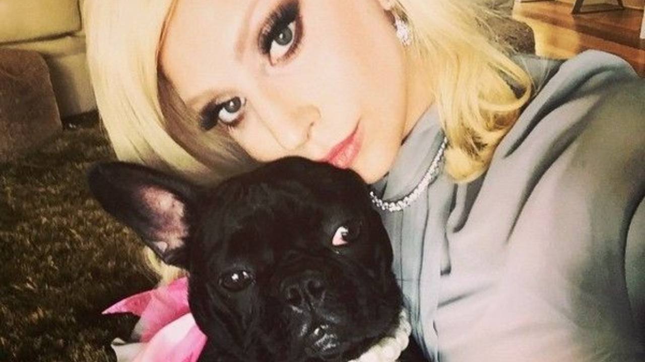 lady gaga, selfie con il cane