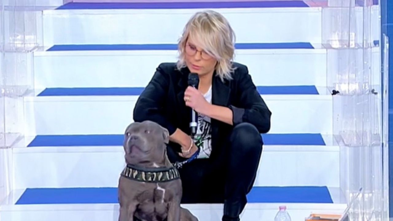 ued, maria de filippi con saki