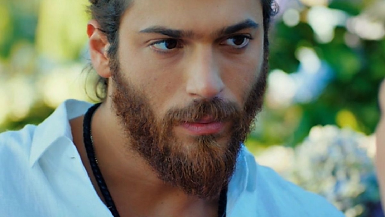 Can Divit in Daydreamer