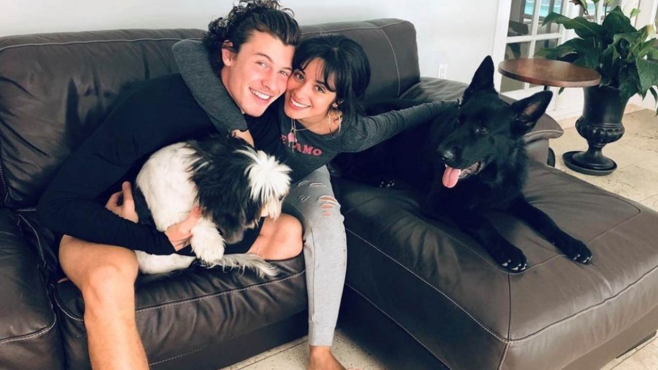 shawn mendes e camila cabello con i due cani