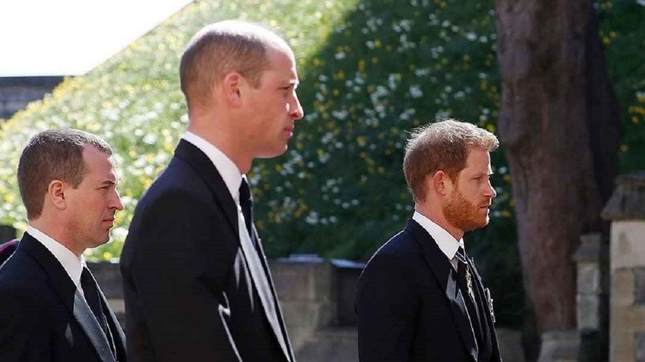 harry e william, faida