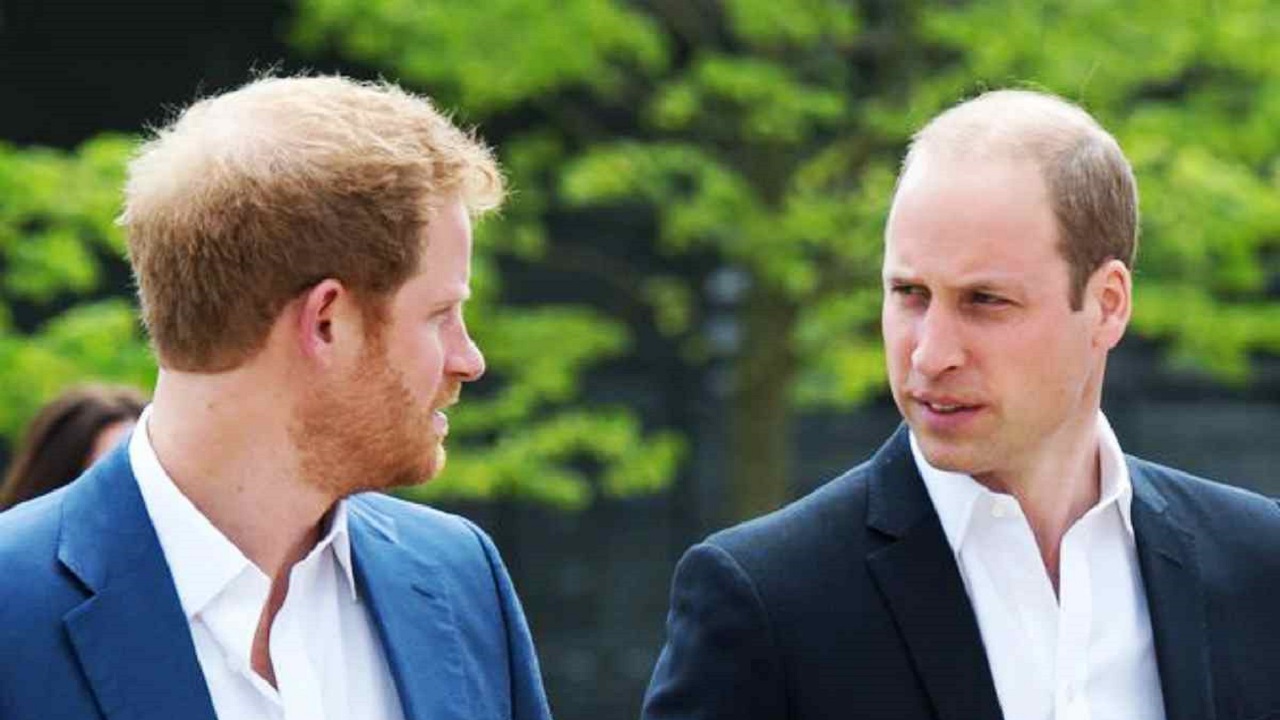 Harry William gelo totale