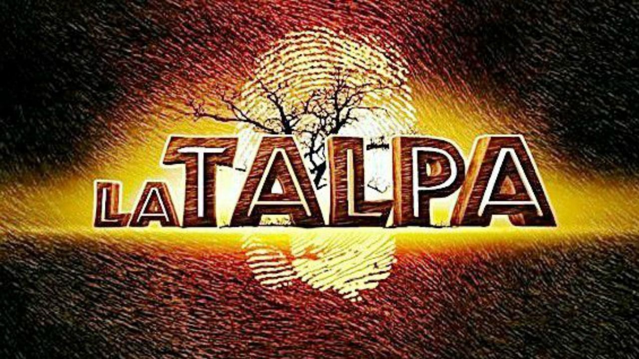 logo la talpa