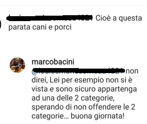 Bacini cani e porci