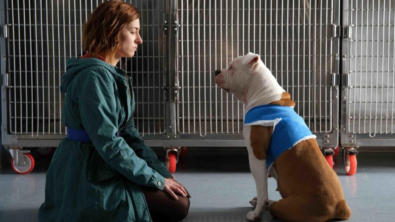 il cane di blanca