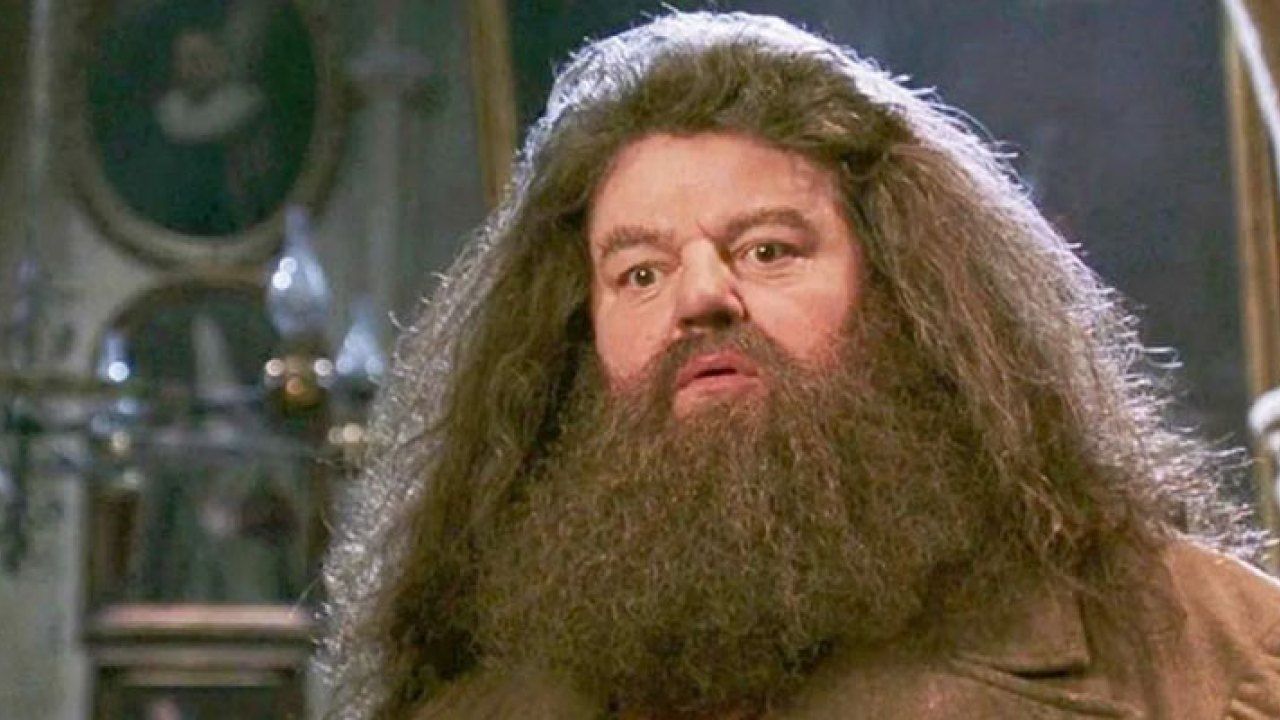 morto hagrid di harry potter