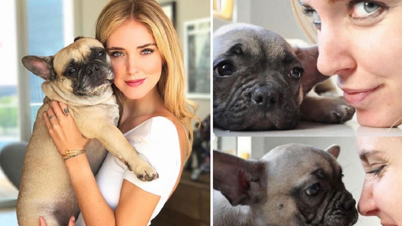 Chiara Ferragni morto cane