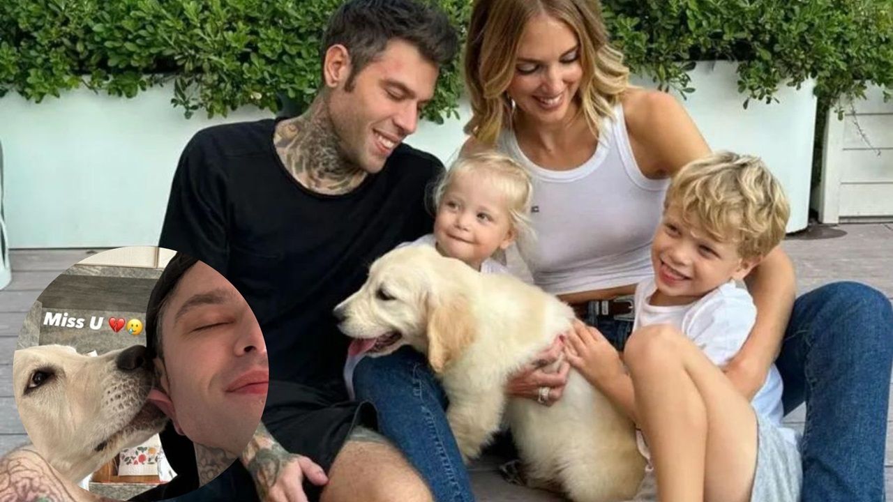 Paloma cane di Fedez e Chiara Ferragni