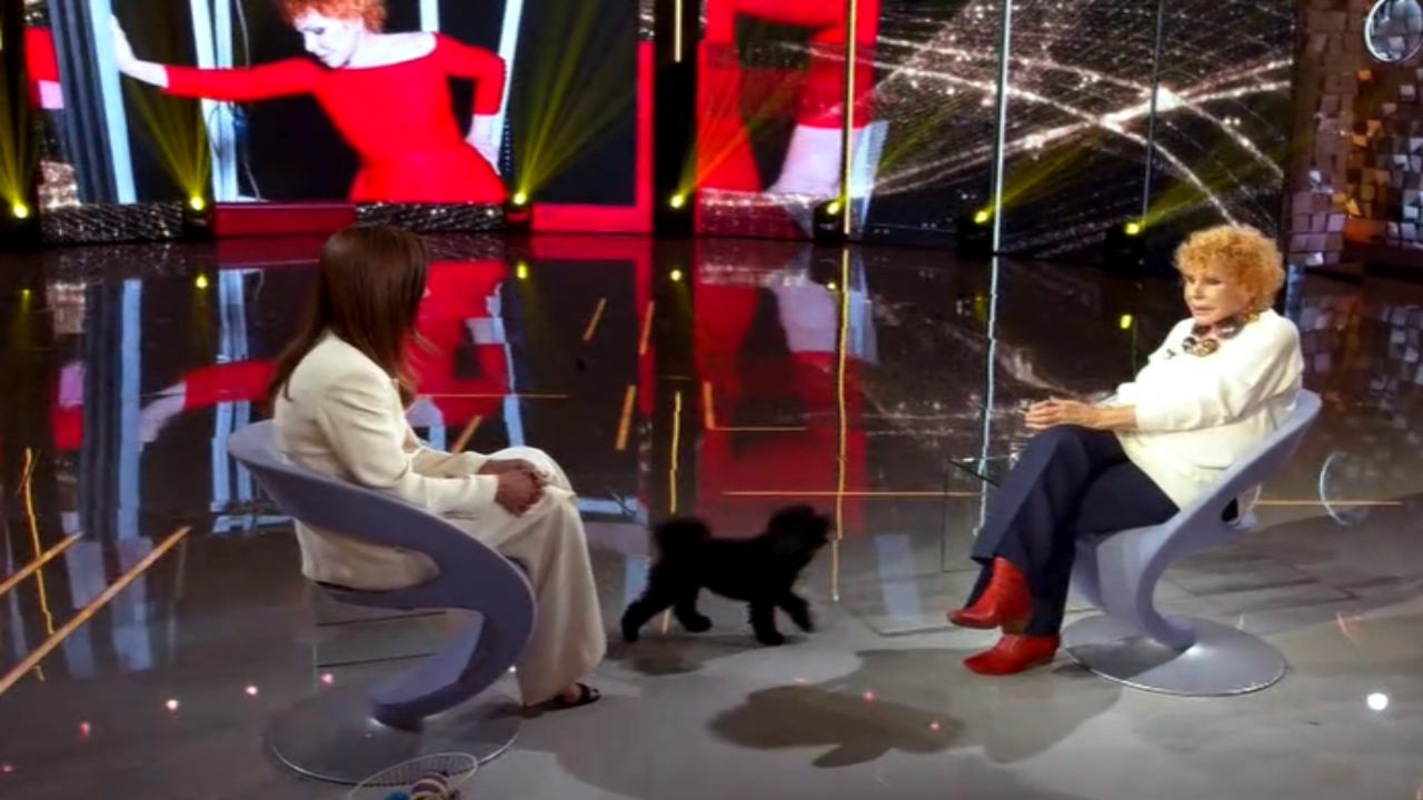 Ornella Vanoni porta il suo cane a Verissimo e questo fa cadere un bicchiere