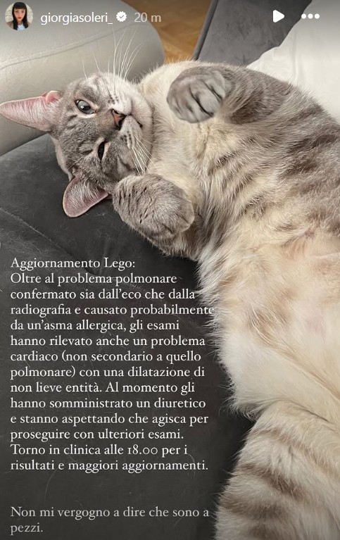 Gatto Giorgia Soleri Salute