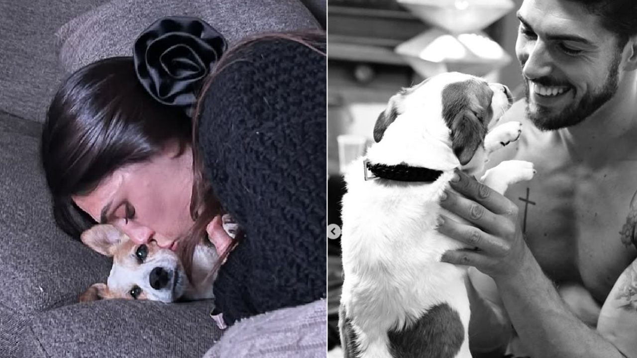 Morto il cane di Cecilia Rodriguez e Ignazio Moser